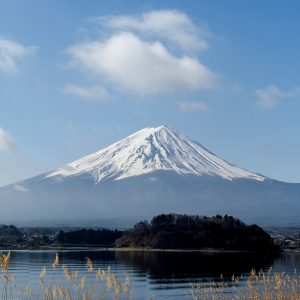 富士の国甲州信玄の会、新ホームページ開設。
